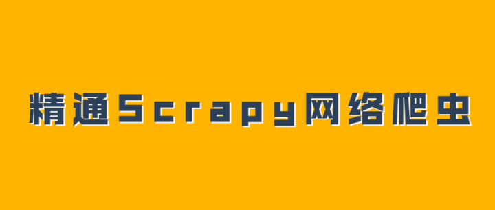 精通Scrapy网络爬虫系列视频-构词网