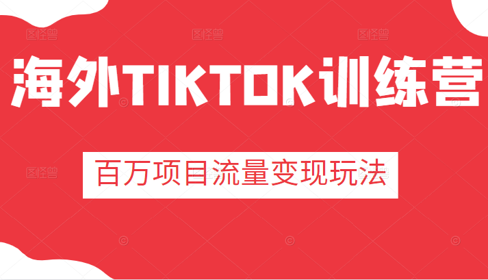 海外TIKTOK训练营，百万项目海外版抖音tiktok流量变现玩法-构词网