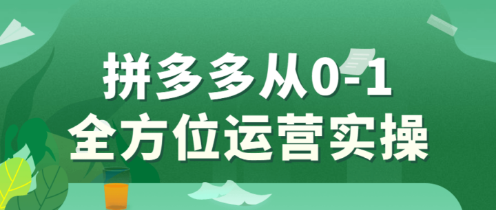 拼多多从0-1全方位运营实操-构词网