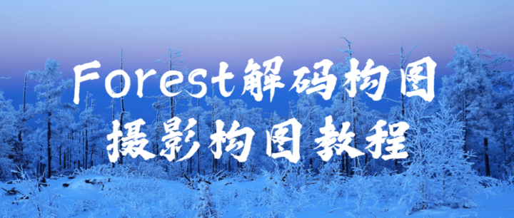 Forest解码构图摄影构图教程-构词网