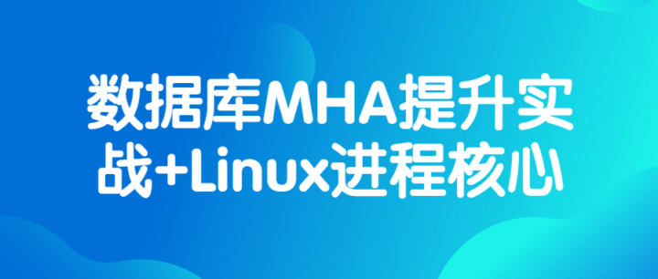 数据库MHA提升实战+Linux进程核心-构词网