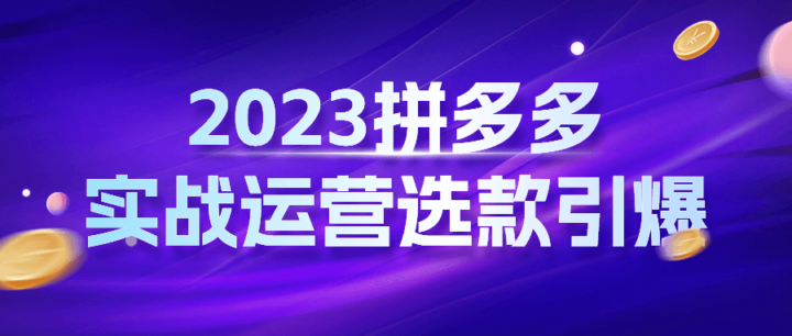 2023拼多多实战运营选款引爆-构词网