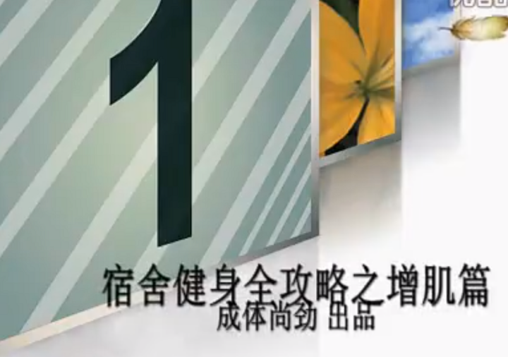 [free]大学宿舍健身全攻略无器材健身教程14集全-构词网