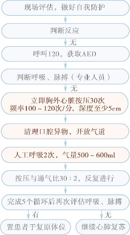 40多种急救技能求生技能视频教学-构词网