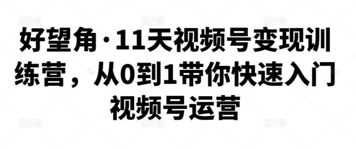 好望角·11天视频号变现训练营教程-构词网