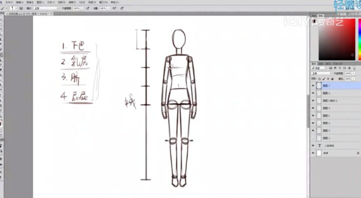 人体结构与比例初级入门之动漫绘制-构词网