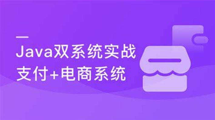 实战支付+电商双系统 玩转Java技术栈-构词网