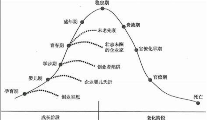 【第1曲线】正确判断企业所处的阶段-构词网