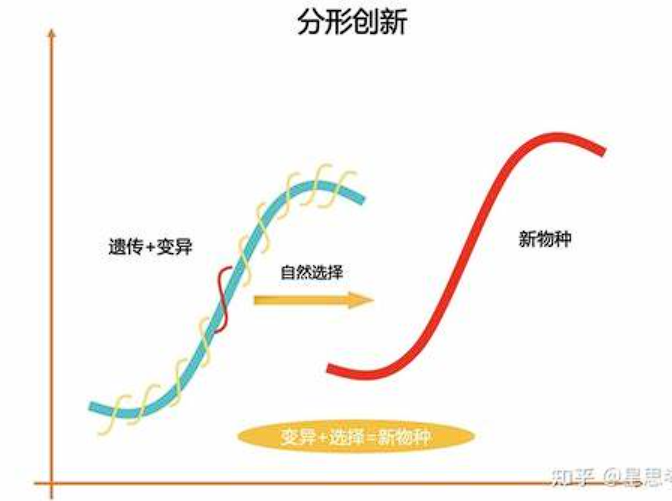 【新科学世界观】达尔文进化论与分形创新-构词网